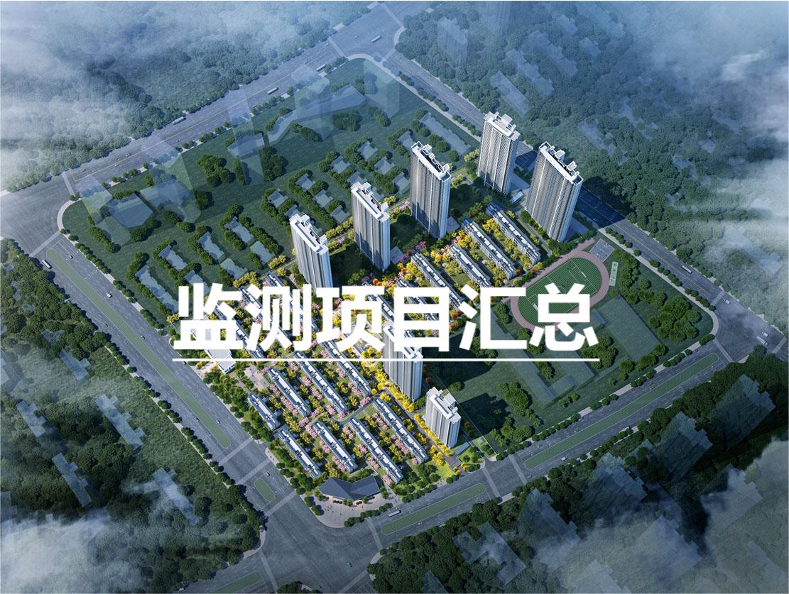 2020-2024监测项目